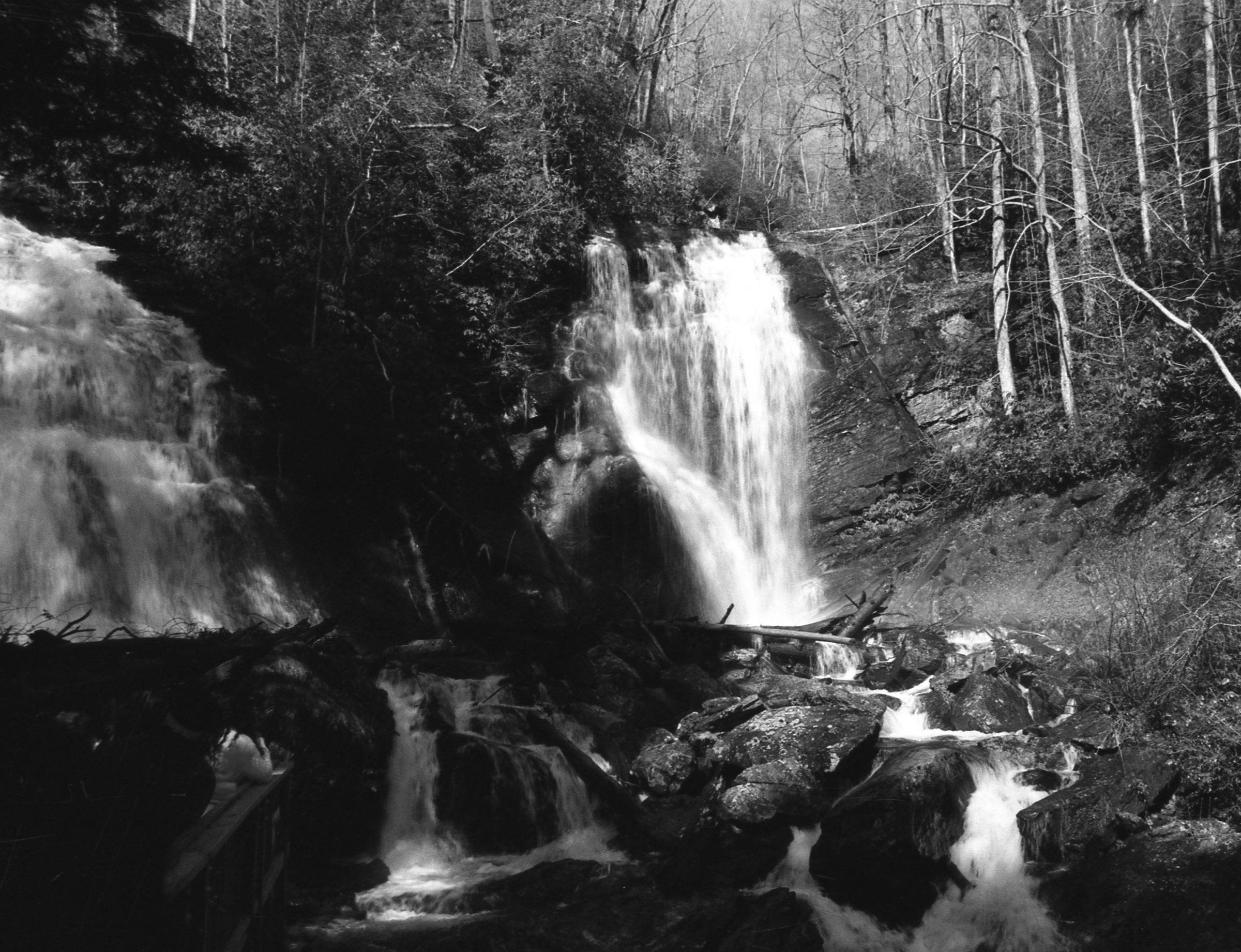 Anna Ruby Falls — twin cascades in the Blue Ridge Mountains of Georgia, fine art waterfall photography print